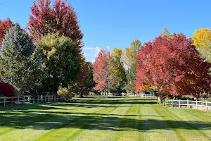 Willow Springs Greenbelt image