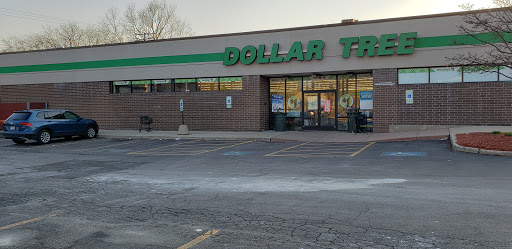 Dollar Store «Dollar Tree», reviews and photos, 4101 Dempster St, Skokie, IL 60076, USA