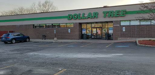 Dollar Store «Dollar Tree», reviews and photos, 4101 Dempster St, Skokie, IL 60076, USA
