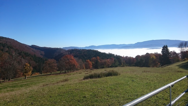 Ferme des Vies Öffnungszeiten