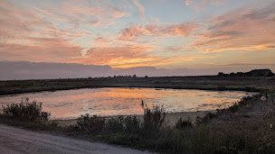 Photo n°16 de Cabane du Boutillon à Ars-en-Ré ()