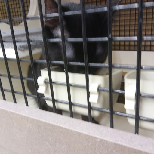 Pet Supply Store «Petco Animal Supplies», reviews and photos, 2705 Federated Blvd, Columbus, OH 43235, USA