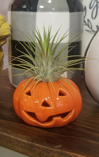 Gift Shop «Highland Flowers & Gifts», reviews and photos, 3 Church St, Vernon Township, NJ 07462, USA