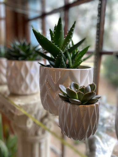 Florist «Guilford White House Florist», reviews and photos, 966 Boston Post Rd, Guilford, CT 06437, USA