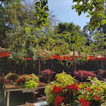 Photo n°1 de l'avis de Claudia.r fait le 10/09/2020 à 13:05 sur le  Würstle Grill Selbstbedienungsrestaurant à Konstanz