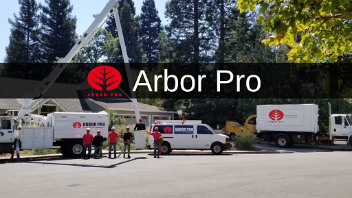 Arbor Pro