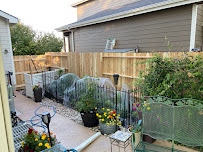 Morrissey Lawn and Landscape - Photo 9 - Car repair in , Centennial