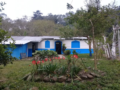 Colonia Linda Vista, Zapotal.