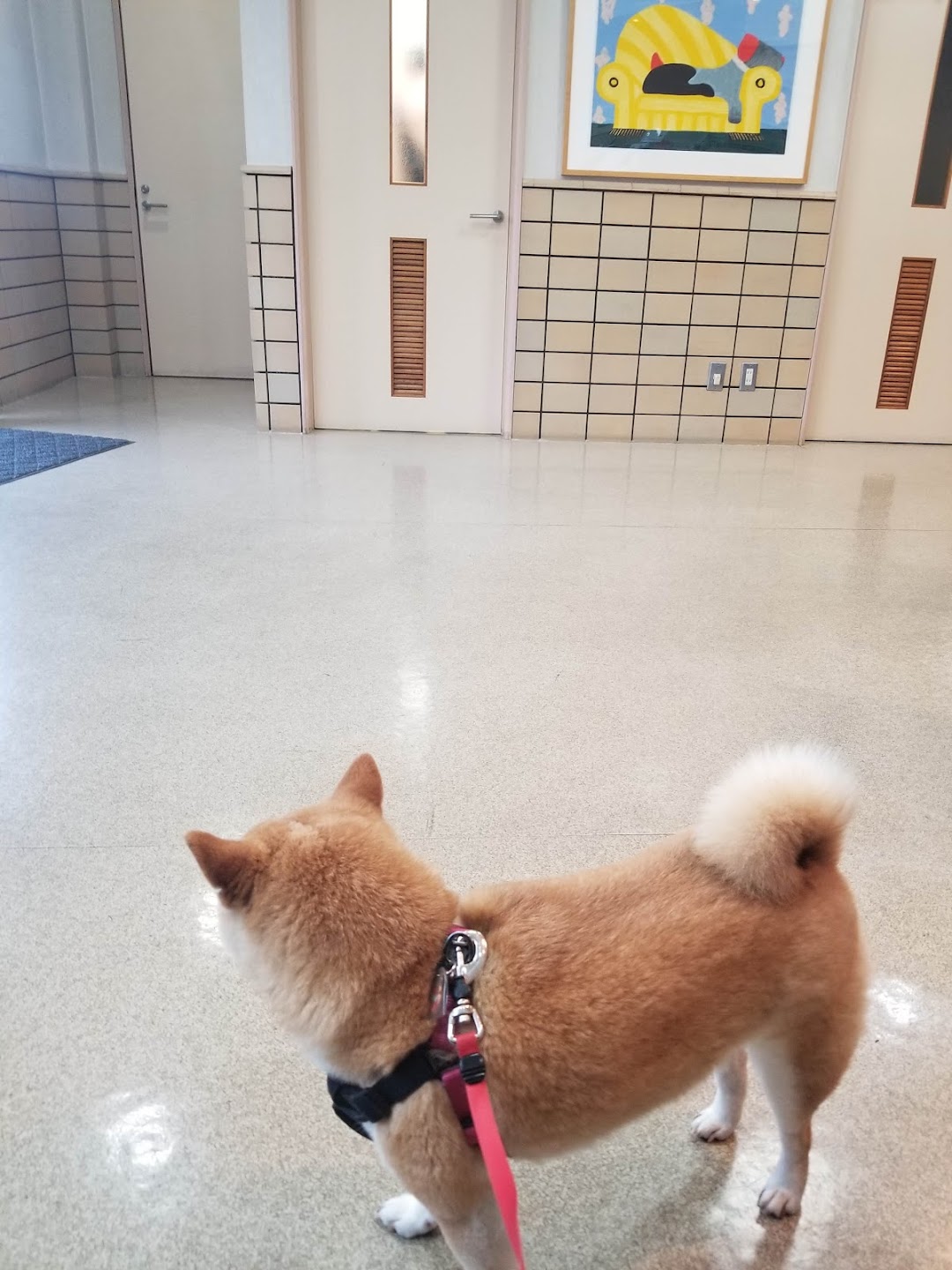 熊の前動物病院