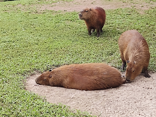 Park «Lake Tobias Wildlife Park», reviews and photos, 760 Tobias Road, Halifax, PA 17032, USA