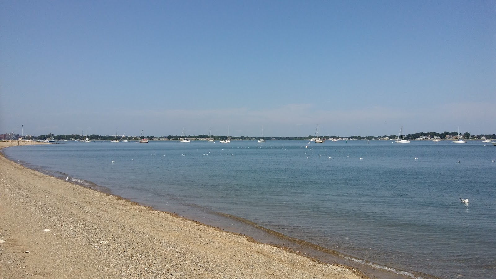 Foto di George Lane beach con una superficie del sabbia con ciottolame