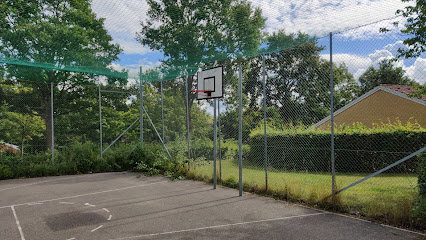 Basketballbane