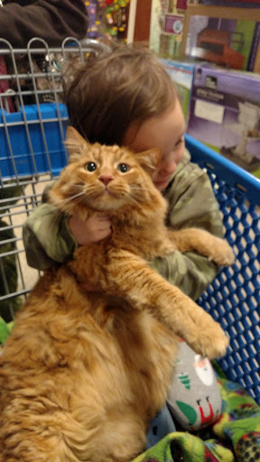 Pet Supply Store «PetSmart», reviews and photos, 466 S Watson Rd, Buckeye, AZ 85326, USA