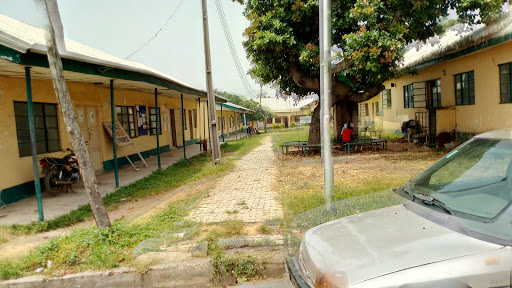 FCT College of Education Zuba, Nigeria, Primary School, state Niger