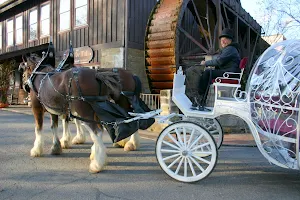 All Occasions Carriage & Pony image