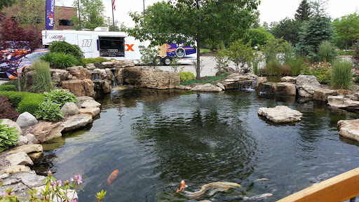Pond fish supplier Sterling Heights