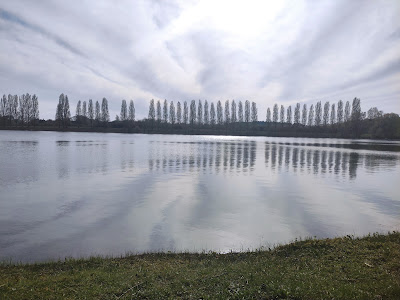Etang des boucles de la Seine à Moisson