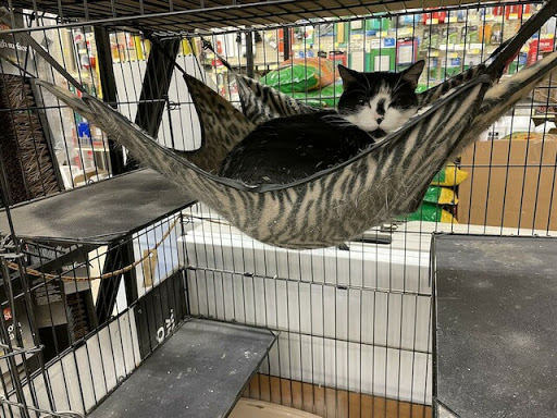 Hardware Store «Waukee Hardware & Rent It Center», reviews and photos, 380 6th St, Waukee, IA 50263, USA