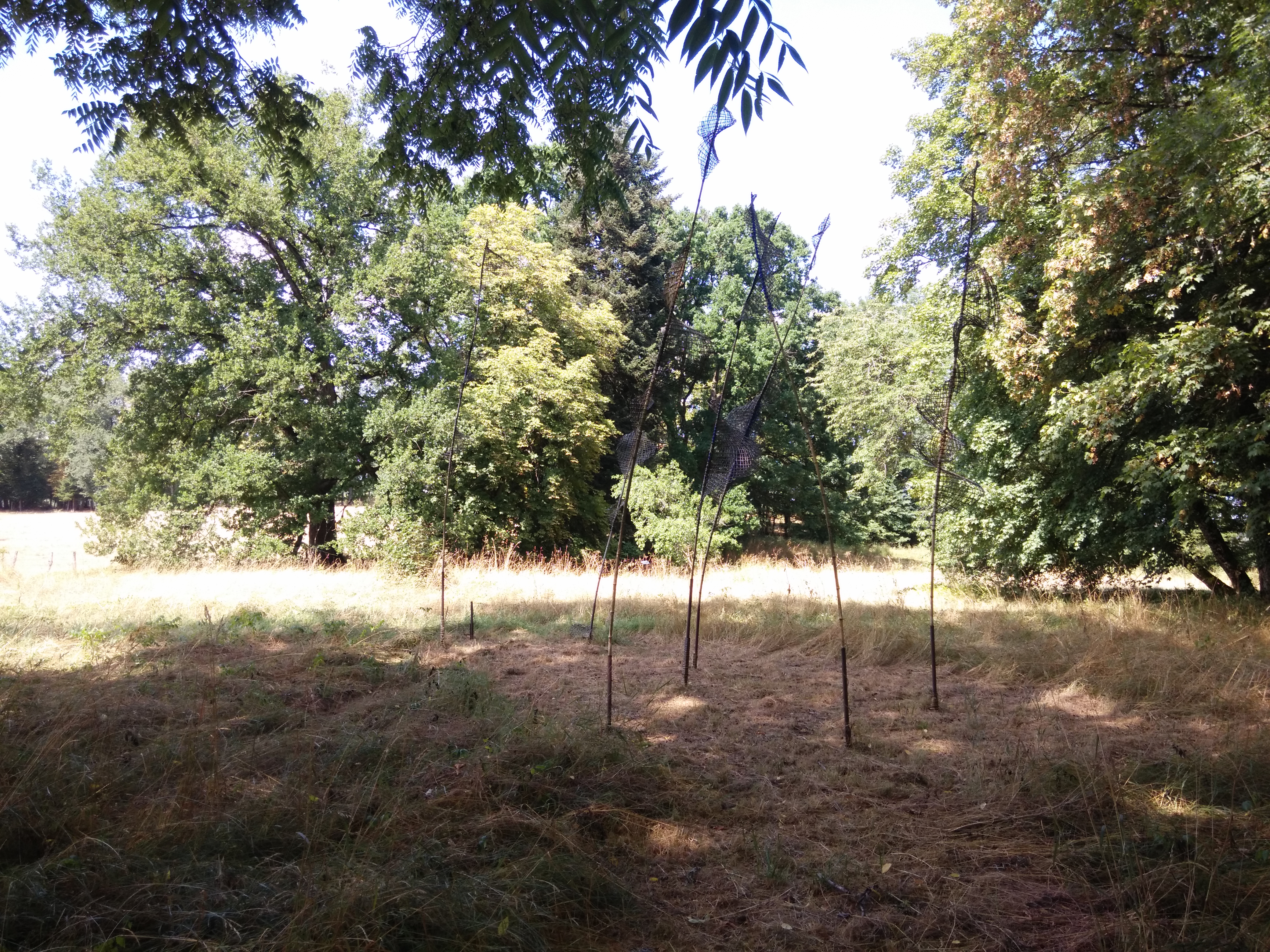 Photo n° 15 de l'avis de Casper.e fait le 09/08/2019 à 12:58