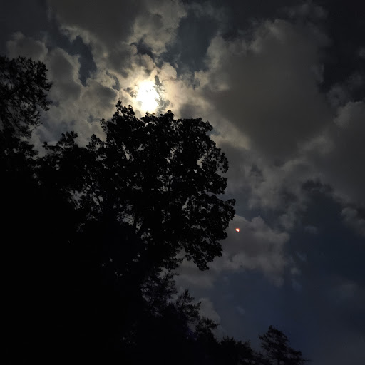 Park «Bays Mountain Park & Planetarium», reviews and photos, 853 Bays Mountain Rd, Kingsport, TN 37660, USA