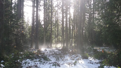 Smoke Town Bonney Lake, 20631 WA-410, Bonney Lake, WA 98391, USA, 