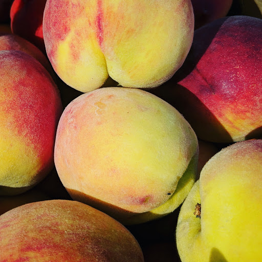 Recreation Center «Arlington Mill Community Center», reviews and photos, 909 S Dinwiddie St, Arlington, VA 22204, USA