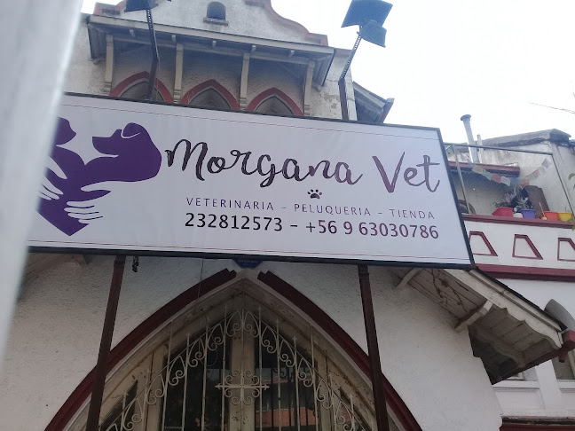 Opiniones de Morgana Vet en Ñuñoa - Veterinario