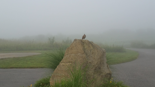 Golf Club «Twisted Gun Golf Club», reviews and photos, 2002 Twisted Gun Road, Wharncliffe, WV 25651, USA