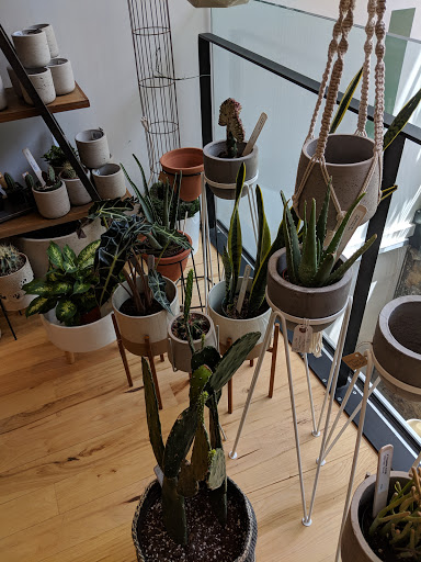 Gift Shop «Moss - Iowa City», reviews and photos, 112 E Washington St, Iowa City, IA 52240, USA