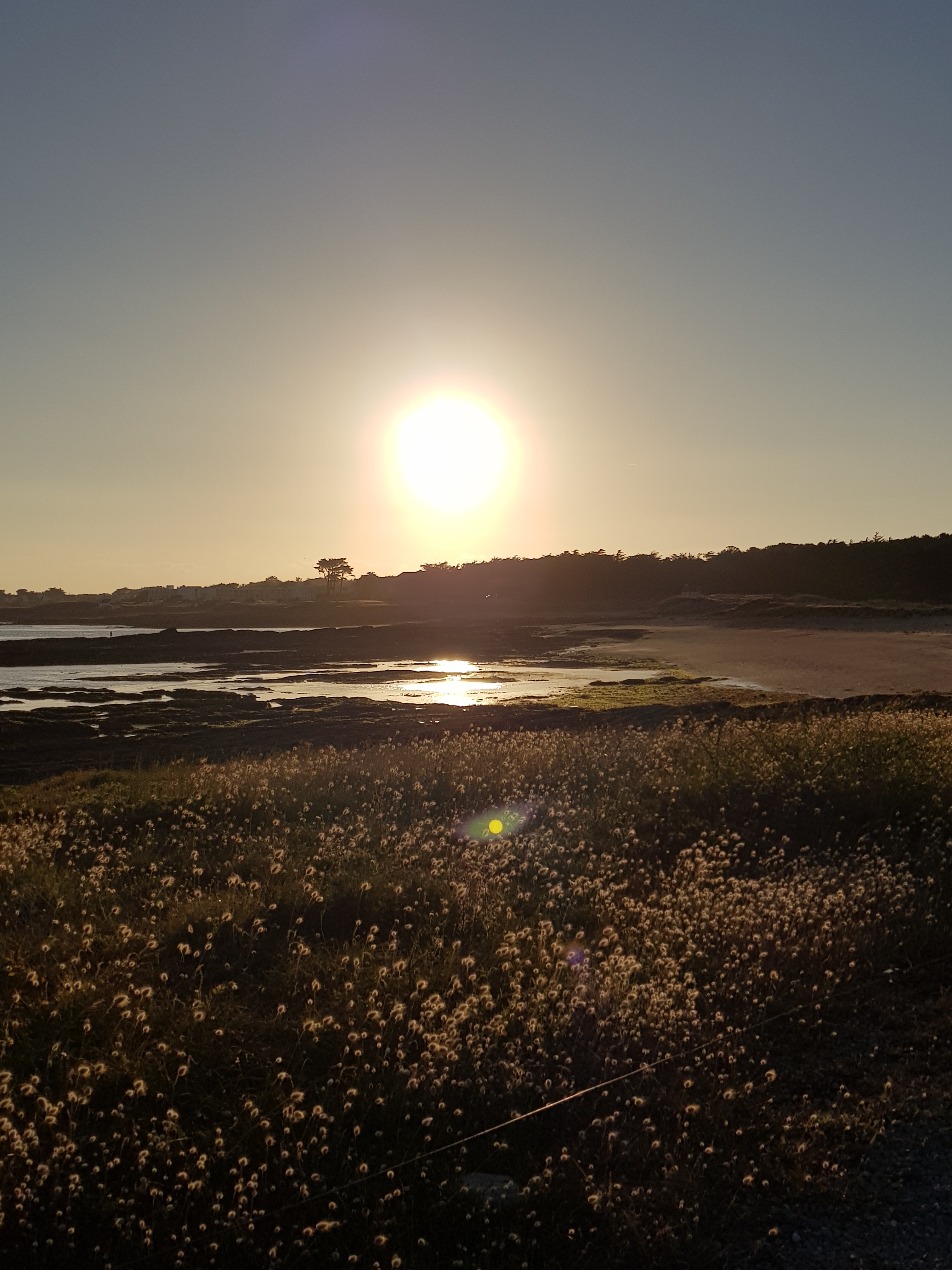 Photo n° 6 de l'avis de Aurélie.e fait le 23/06/2019 à 20:21