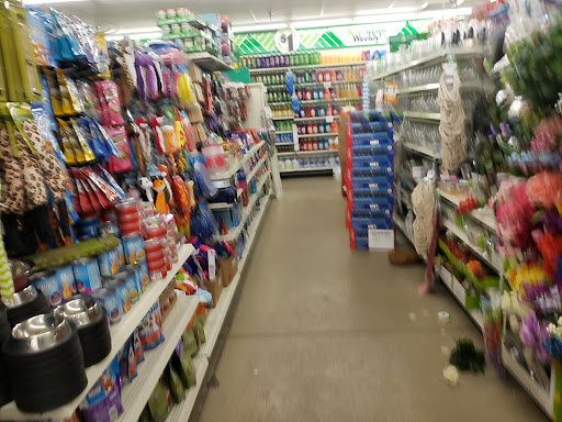 Dollar Store «Dollar Tree», reviews and photos, 4101 Dempster St, Skokie, IL 60076, USA