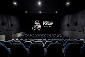 Black Bear Cinemas image
