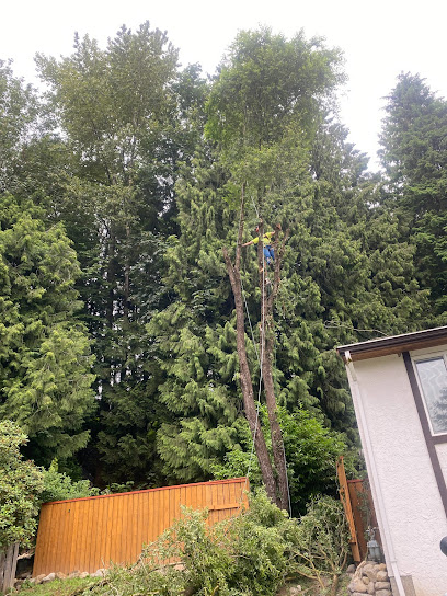 Skyline Landscaping & Tree Service, MISSION BC