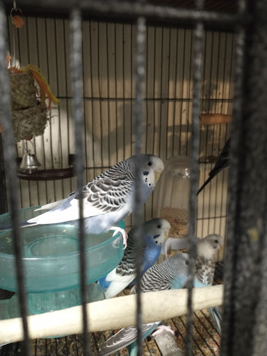 Pet Store «Animal House», reviews and photos, 7869 Hamilton Ave, Cincinnati, OH 45231, USA