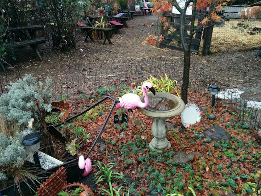 Gift Shop «Rose & Thorn», reviews and photos, 10050 Bodega Hwy, Sebastopol, CA 95472, USA