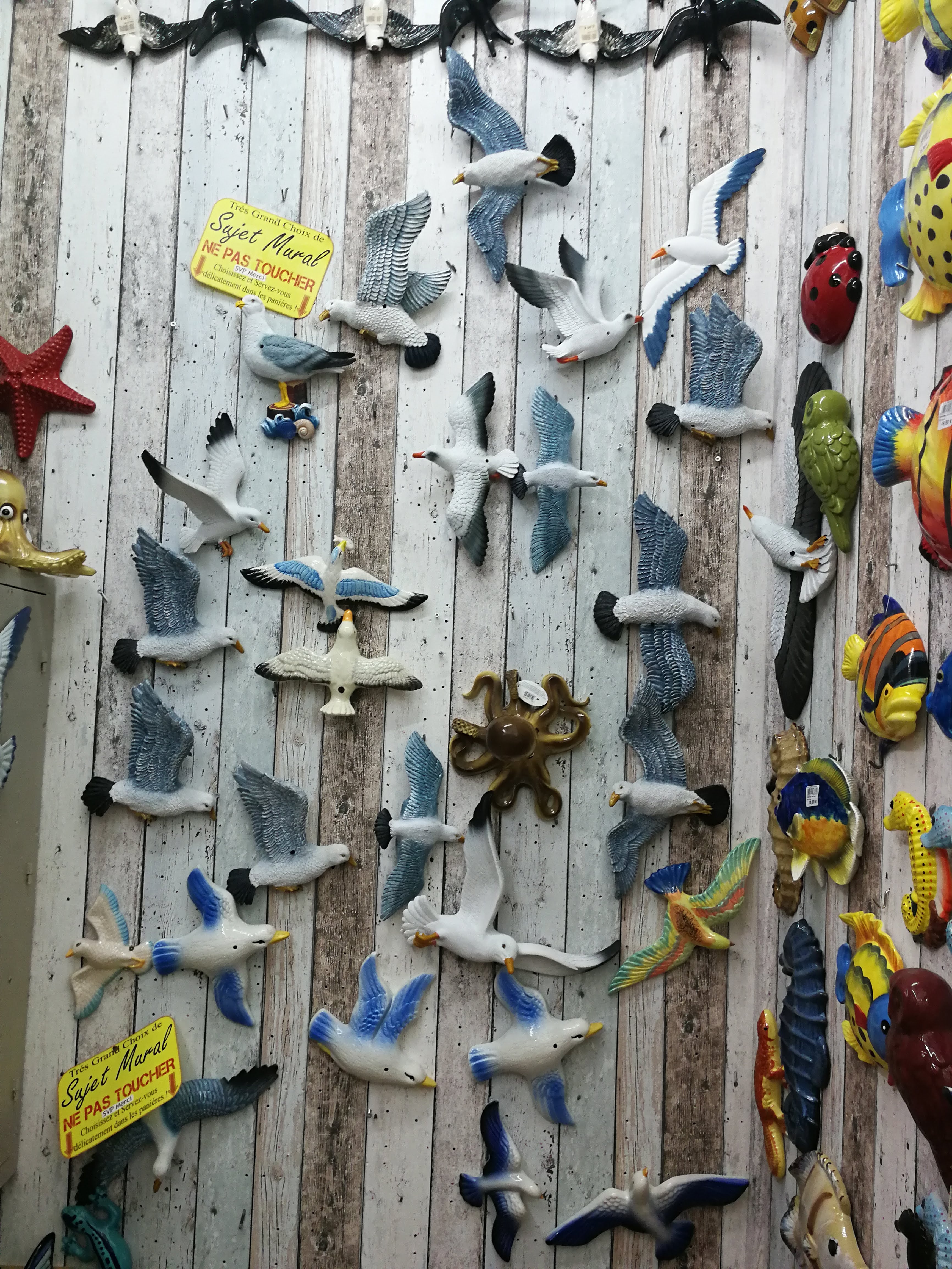 Photo n° 5 de l'avis de Didier.i fait le 04/07/2018 à 04:16