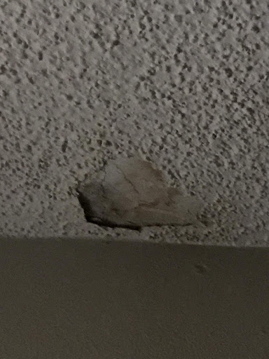 Roofing Contractor «Collis Roofing», reviews and photos