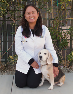 P.V. Village Pet Hospital, A Thrive Pet Healthcare Partner