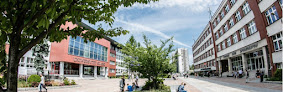 Best Places To Study Outdoors In Katowice Near You