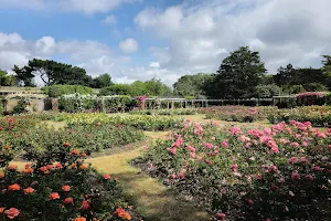 The Rose Gardens image