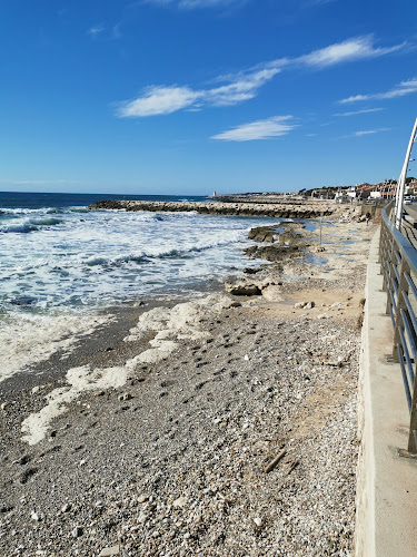 Plage canine à Sausset-les-Pins