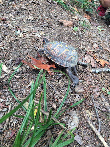 Park «Sherando Park», reviews and photos, 255 Lakeview Cir, Stephens City, VA 22655, USA