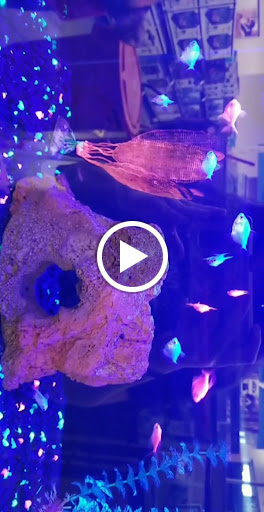 Pet Supply Store «Petco Animal Supplies», reviews and photos, 585 E Wetmore Rd, Tucson, AZ 85705, USA