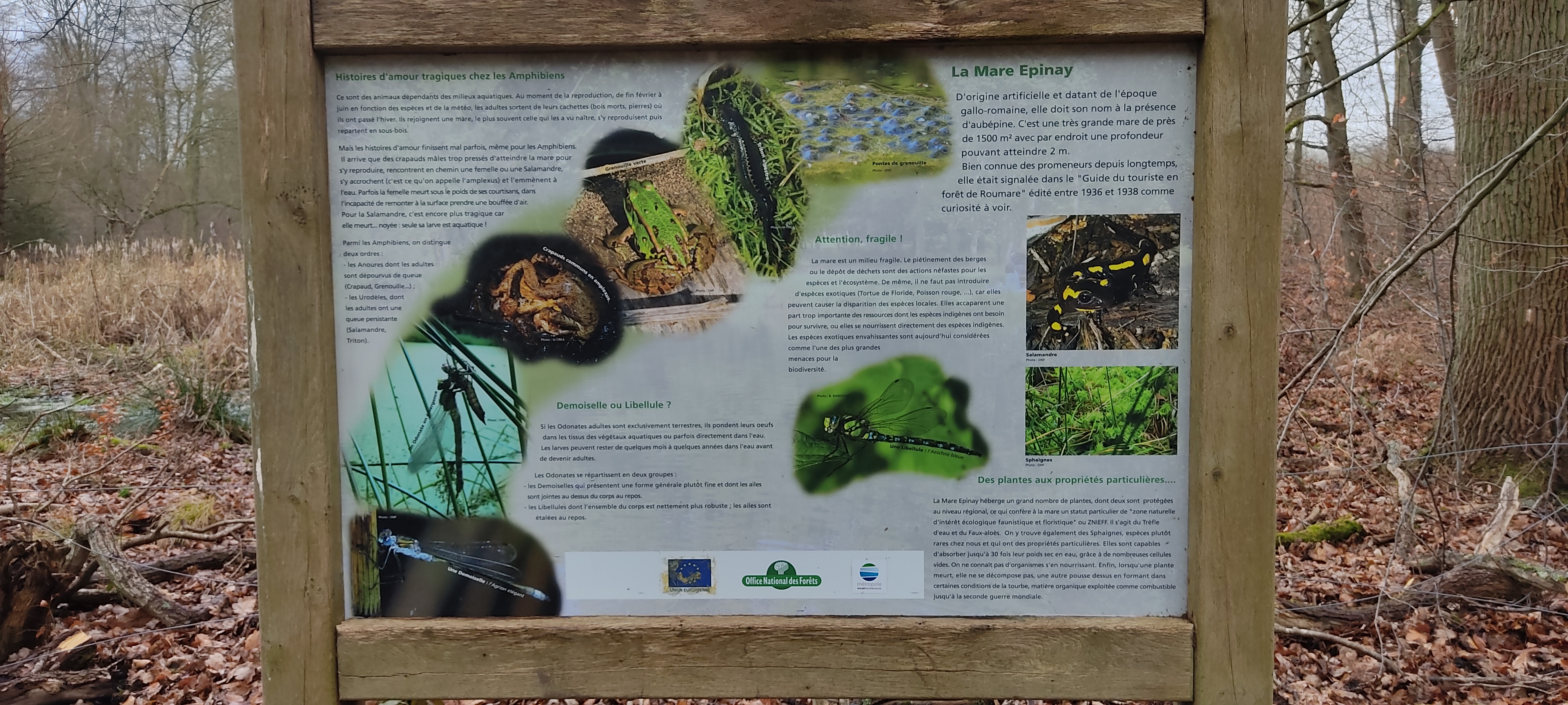 Photo n° 7 de l'avis de Marie.r fait le 02/02/2022 à 15:06