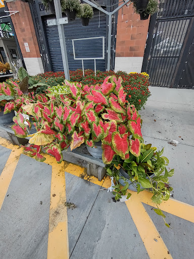 Home Improvement Store «The Home Depot», reviews and photos, 1155 High St, Wadsworth, OH 44281, USA