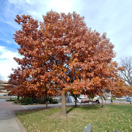 Museum «Colorado Springs Pioneers Museum», reviews and photos, 215 S Tejon St, Colorado Springs, CO 80903, USA