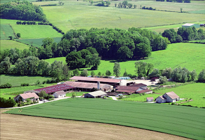 Production et Vente Directe Colis Viande Doubs - GAEC DE CHAMPE à Bonnay