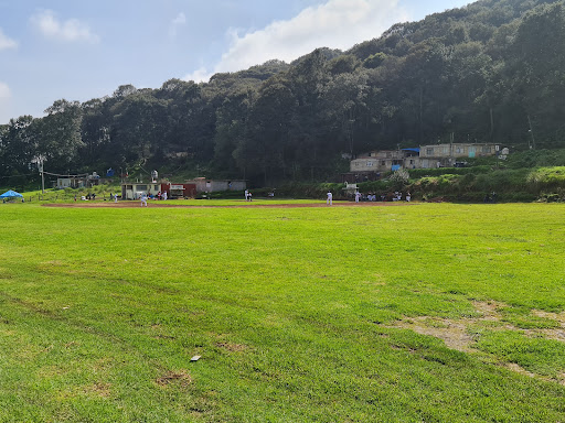 Campos de Béisbol