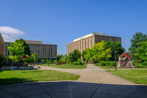 Universidades de psicologia en Cincinnati
