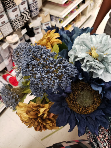 Craft Store «Michaels», reviews and photos, 107 Towne Center Blvd, Sanford, FL 32771, USA